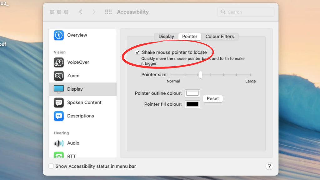 shake mouse pointer to locate setting