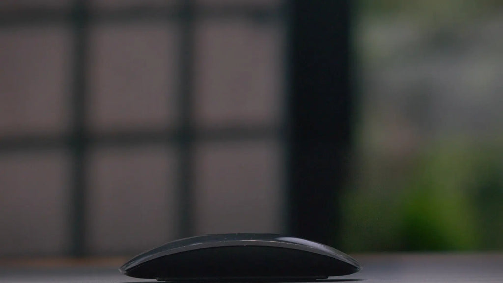 shape of magic mouse in black