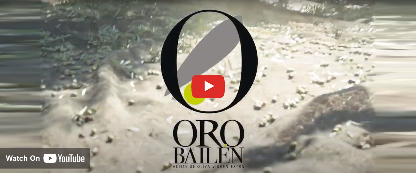 Oro Bailen logo over an image of olives falling into harvest net