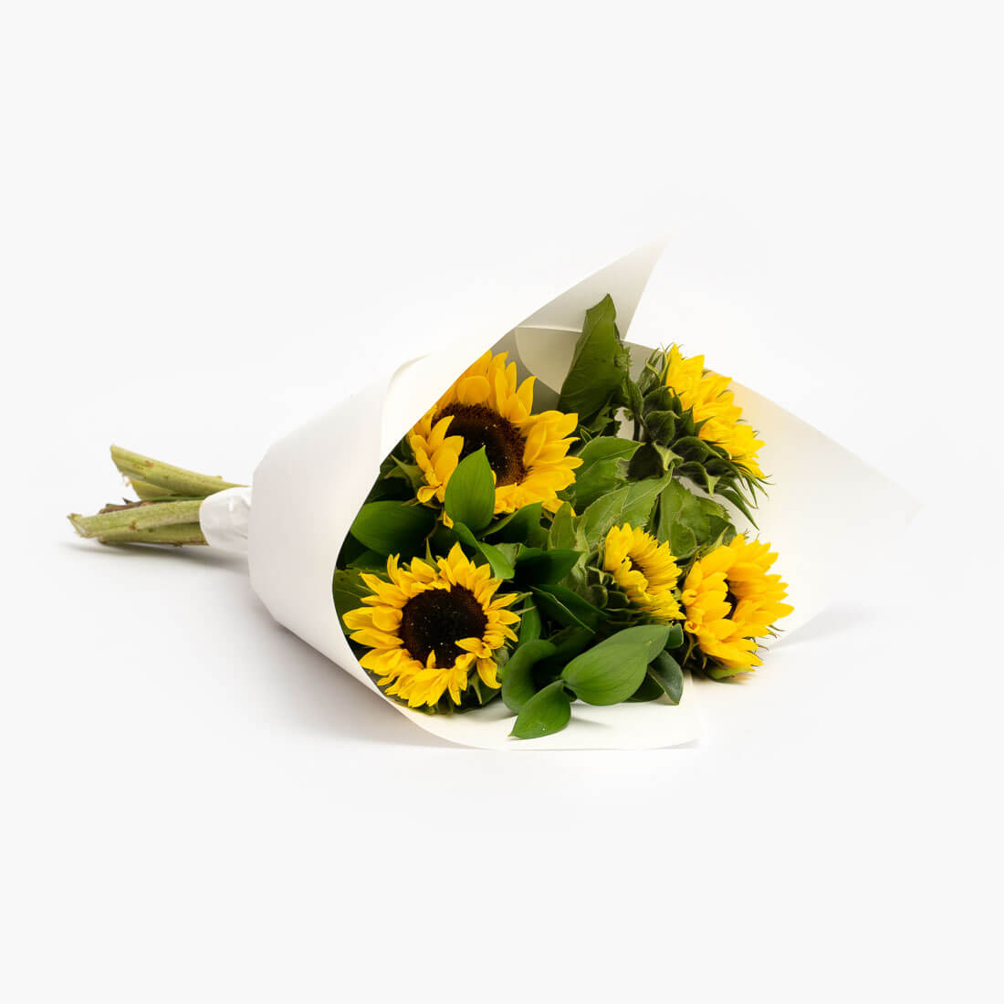 Sunflowers - Flowerkind Geelong Florist