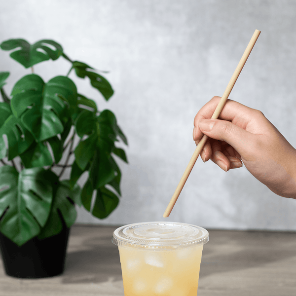 Bamboo Fiber Straw