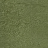 Oberon Design Fern Leather Color Sample