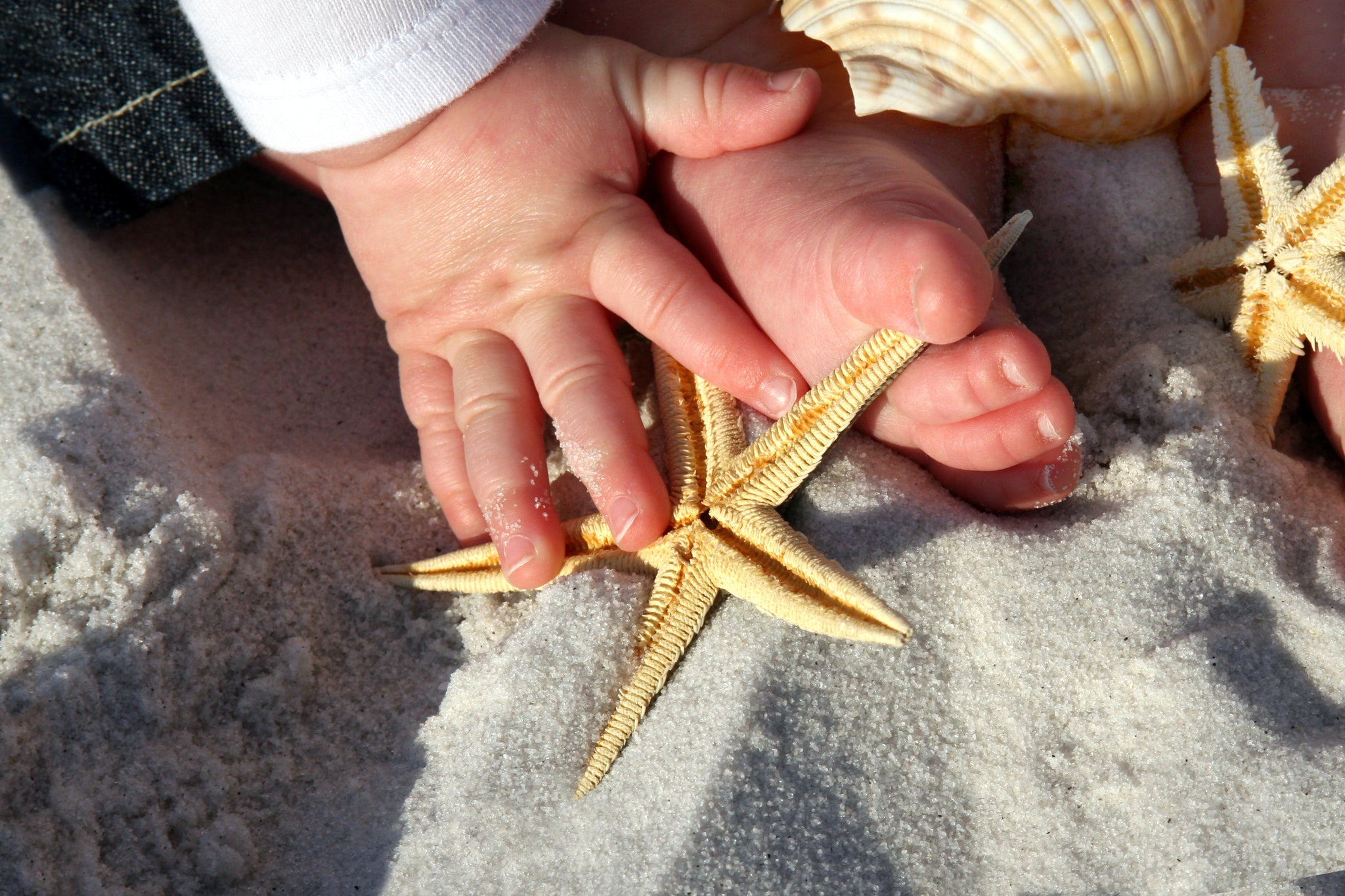 Vacances bébé à la mer