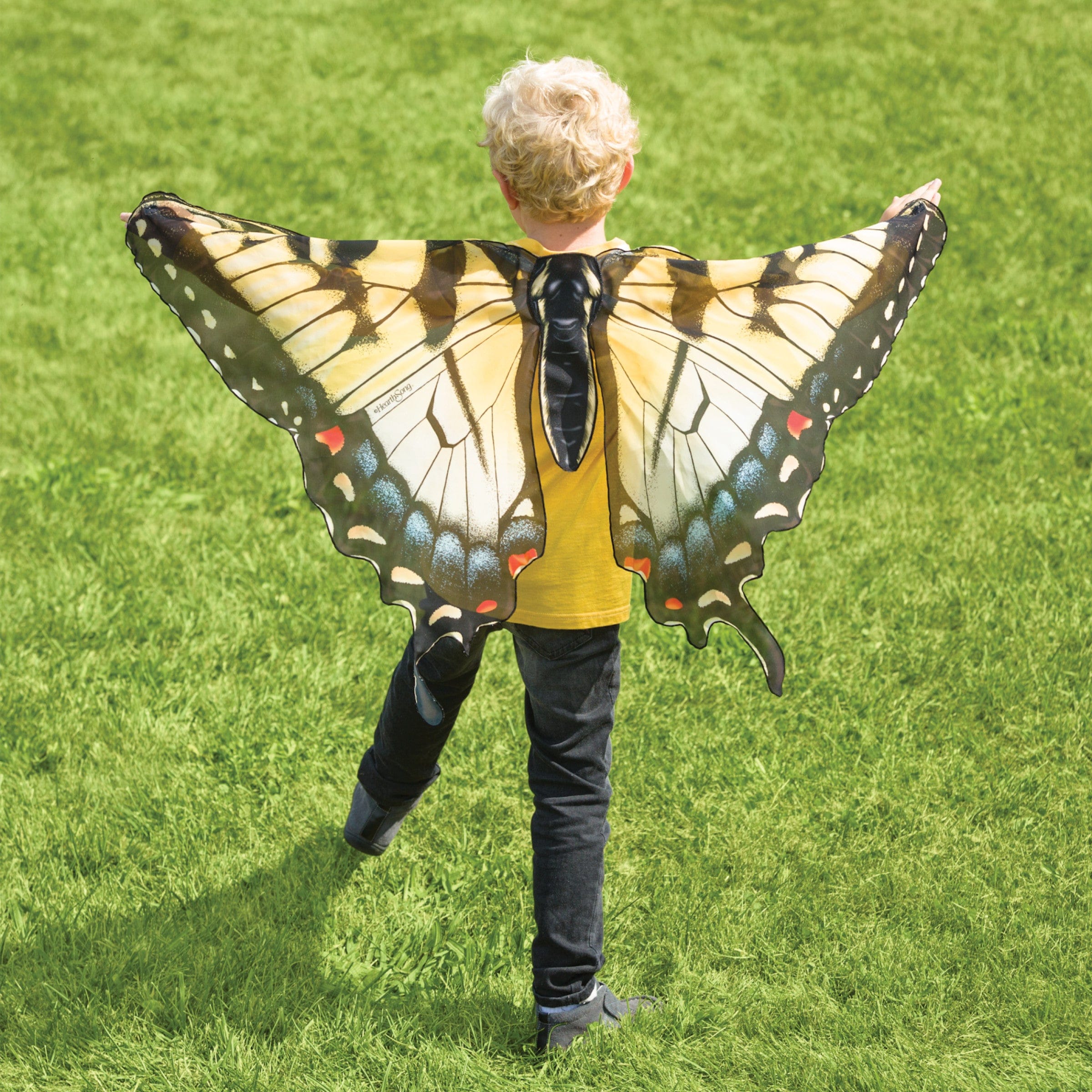 Realistic Butterfly Wings Costume