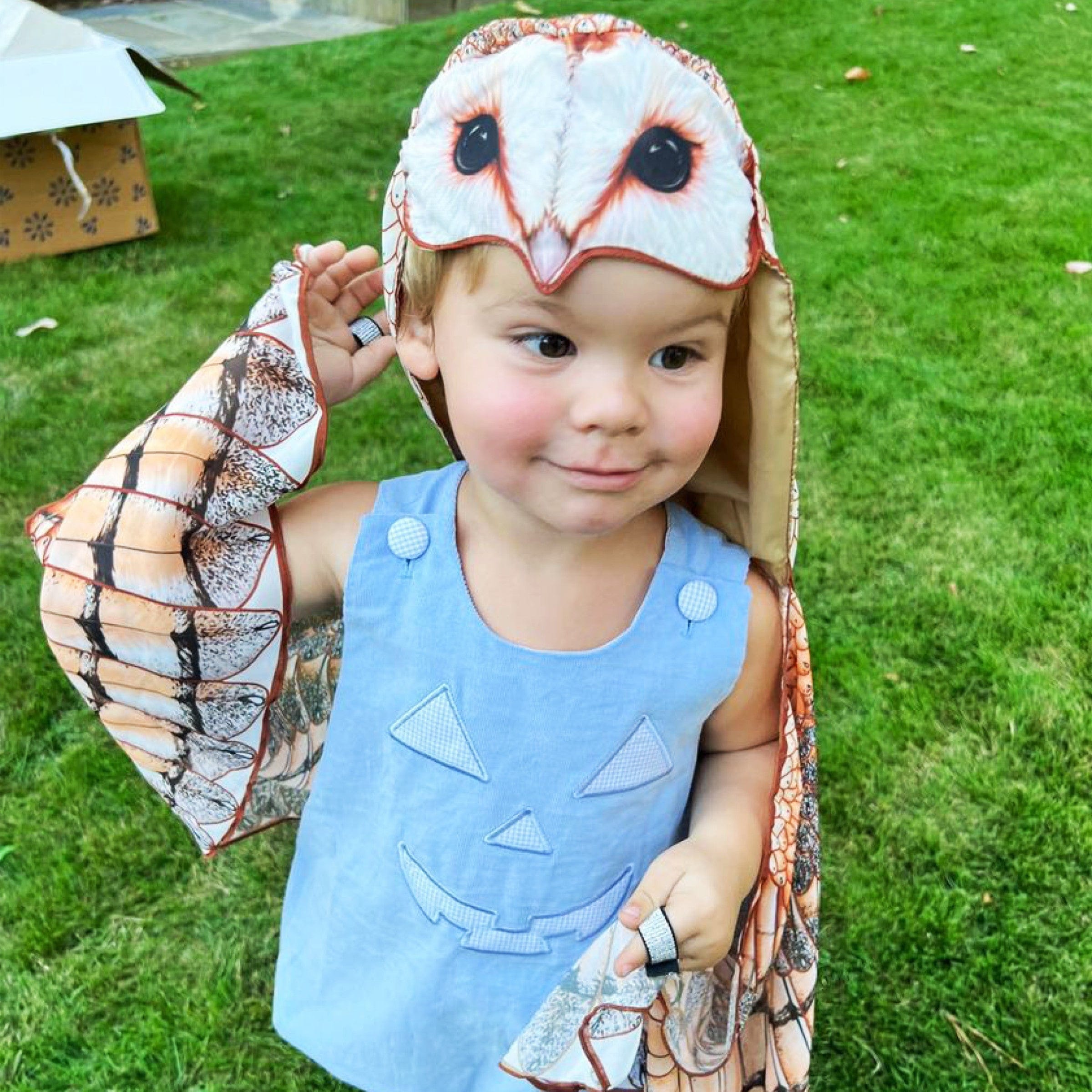 Hooded Realistic Owl Wings Costume