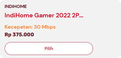 Paket Gamer 2022 2P (Inet+Phone) Up To 30 Mbps