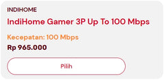 Paket Gamer 3P Up To 100 Mbps