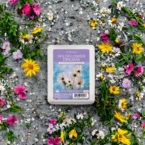 Wildflower dreams scented wax cubes