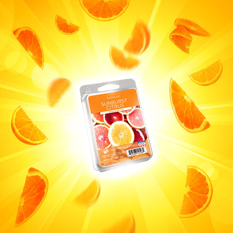 Sunburst Citrus wax melts surrounded by orange slices