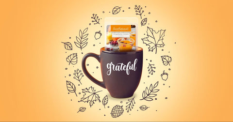 Pumpkin cider scented wax melts inside a mug with the words grateful