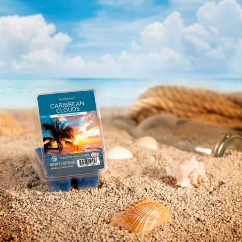 Caribbean clouds scented wax melts