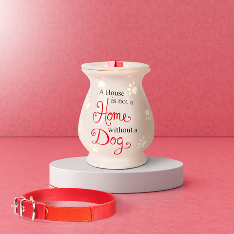 Pet inspired wax warmer next to a dog collar