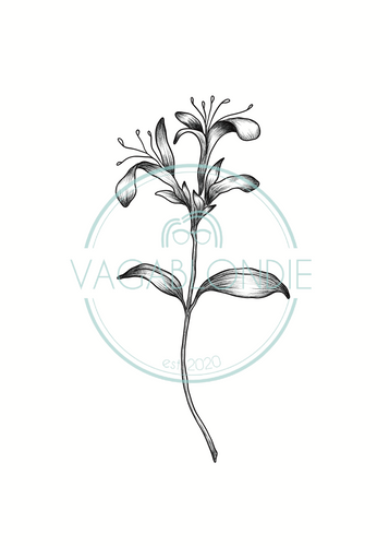 Virgo Zodiac Flower Tattoo Download - Buttercup – Vagablondie