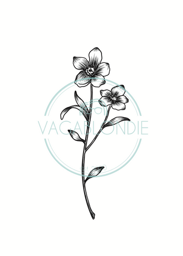 Free buttercup flower tattoo Clipart Images | FreeImages