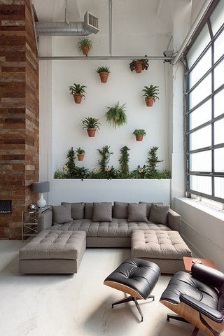 accent-wall-decoration-plants