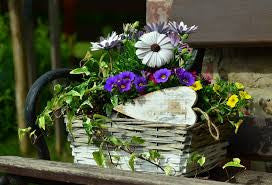 garden-basket-flowers