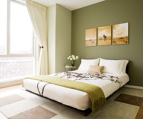 modern-bedroom-houzz