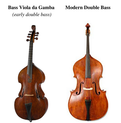 Story of the Bass and –