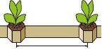 LP303-15 planting distance