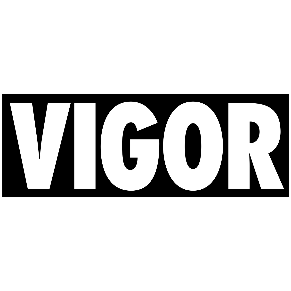 Vigor Air Suspensions