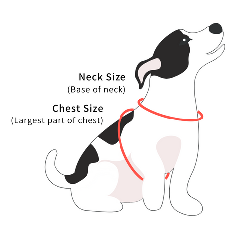 Sassy Snouts - Harness - How to measure