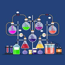 Activities and experiments as specified in latest CBSE curriculum for better understanding.