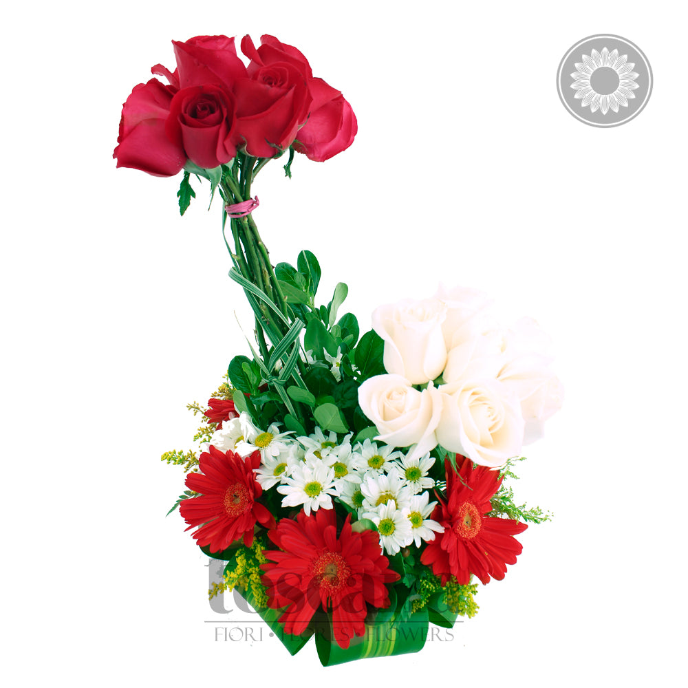 Arreglo de 8 Rosas Rojas y Rosas Blancas - Galluzo II - – Toscana Flores