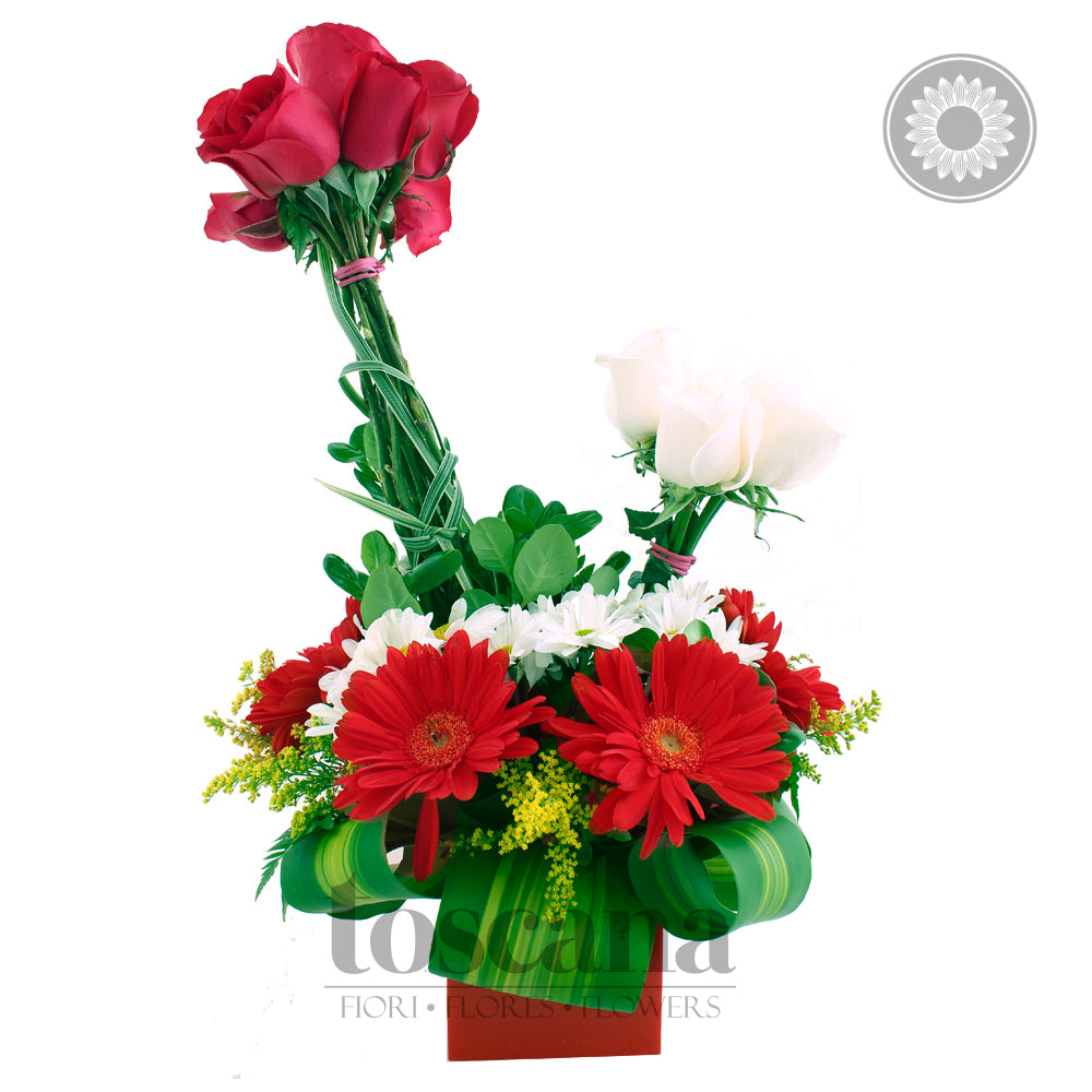 Arreglo de 8 Rosas Rojas y Rosas Blancas - Galluzo II - – Toscana Flores