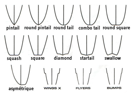 Differents shapes de tail