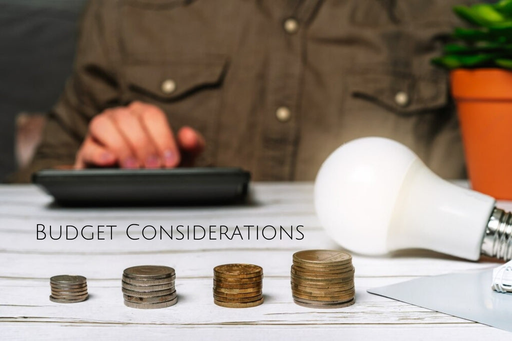 Budget considerations