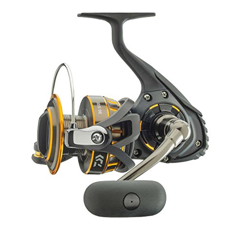  Cadence Stout Saltwater Spinning Reel, Smooth 7 + 1 Sealed  Ball Ball Bearing System, Anti-Corrosion Saltwater Treatment, Big Game,  Powerful Carbon Fiber Drag with 41 lbs Drag (Stout-1000) : Sports & Outdoors