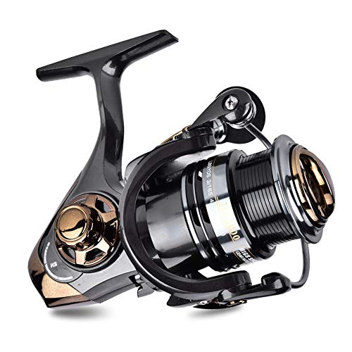 Buy Yoshikawa Baitfeeder Spinning Reel Saltwater Freshwater Fishing 5.5:1  11 High Power Stainless Ball Bearings 30Lb Drag Right Left Hand Reversible  Front Rear Drag Live Liner 3000-6000 Online at desertcartOMAN