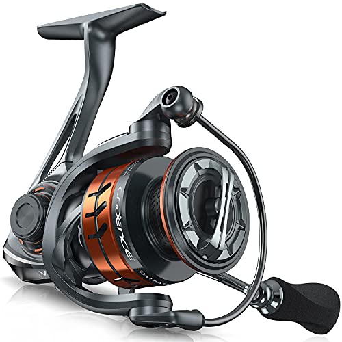 Cadence Stout Saltwater Spinning Reel, Smooth 7 + 1 Sealed Ball