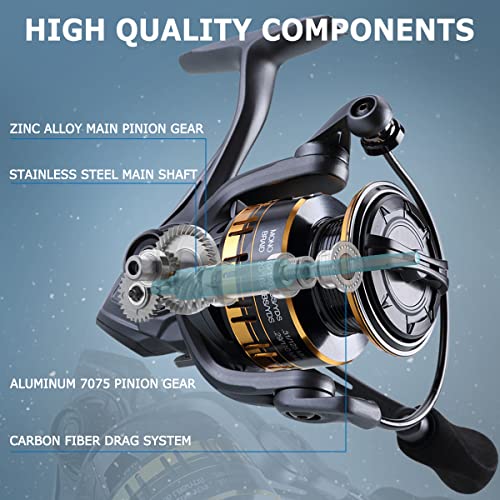 Tempo Persist Spinning Reel Saltwater And Freshwater Fishing Reels