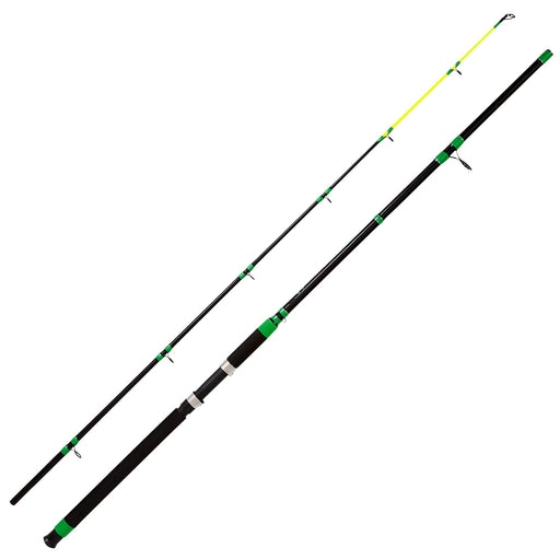Anglerbasics Catfish Casting Rod Portable Travel Boat Fishing Rod