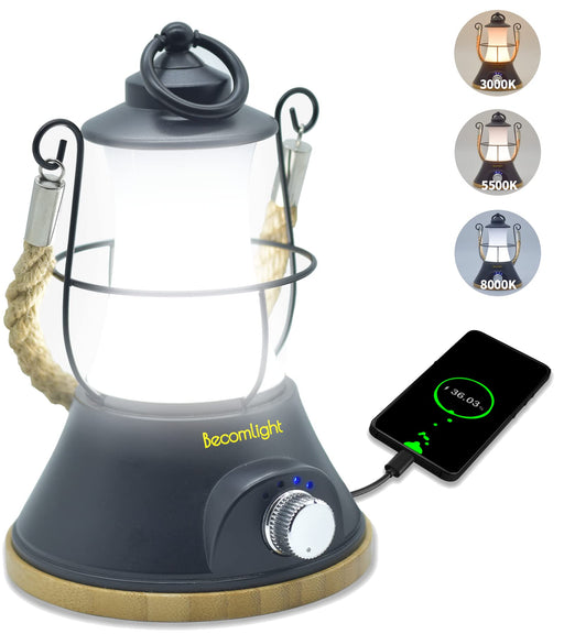 WishHome Vintage LED Hurricane Lantern, Warm White Battery Operated Lantern, Antique Metal Hanging Lantern with Dimmer Switch, 15 LEDs, 1