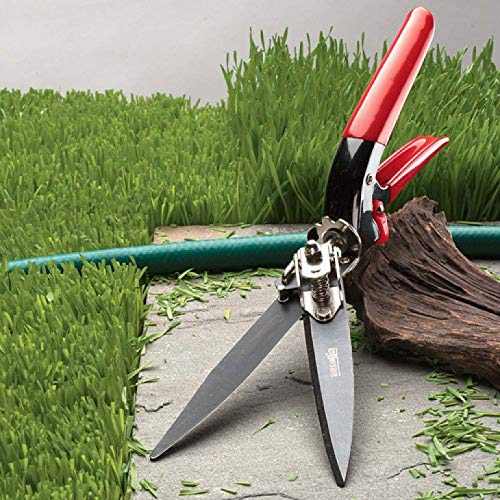 Jardineer Grass Shears Handheld, Razorsharp Hand Grass Clippers, Non-Slip  Grass Clippers & Shears, Grass Shears Manual for Lawn, Hand Shears and