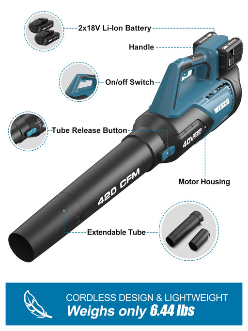 SOYUS Leaf Blower Cordless, 350CFM Electric Leaf Blower with 2x2.0Ah  Batteries and Charger, 2 Variable Speed and Lightweight Handheld Blower for  Lawn