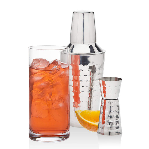 Godinger Cocktail Shaker Set and Martini Glasses Bar Set, Stainless Ma —  CHIMIYA