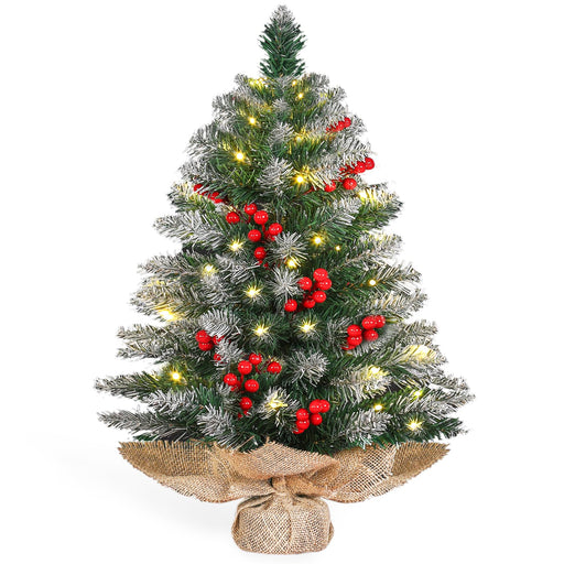 Adeeing 24 Inch Pre-lit Artificial Tabletop Mini Christmas Tree with  Lights, Small Green Frosted Christmas Trees with Burlap Base, Miniature  Pine