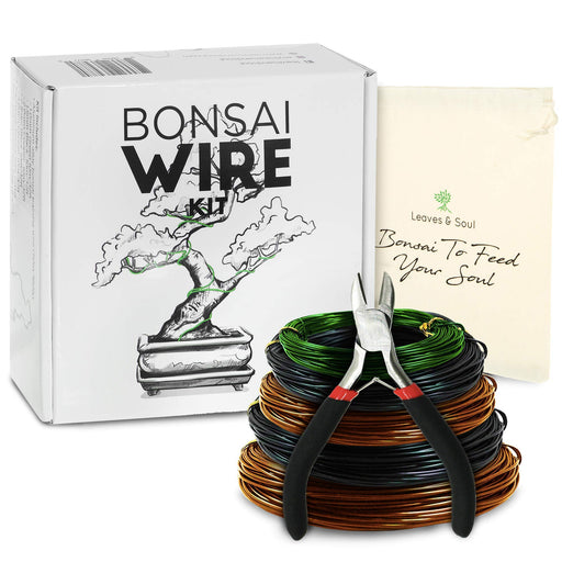 NA 5 Rolls Bonsai Wires and Bonsai Tool Kit, 5-Size Starter Set - 0.8m —  CHIMIYA