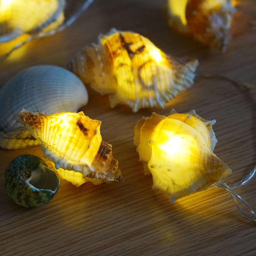 Beach Themed String Lights, 10Ft 30Led Indoor Fairy Decorative Lights —  CHIMIYA
