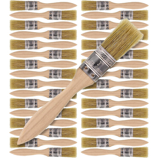 PANCLUB Paint Brushes for Walls I Chip Brush Set 2 inch 40 Pack I S.Chip  Brush Never Lose Bristles I 100% Plastic I for Paint, Glues, Stains and  Single Material 