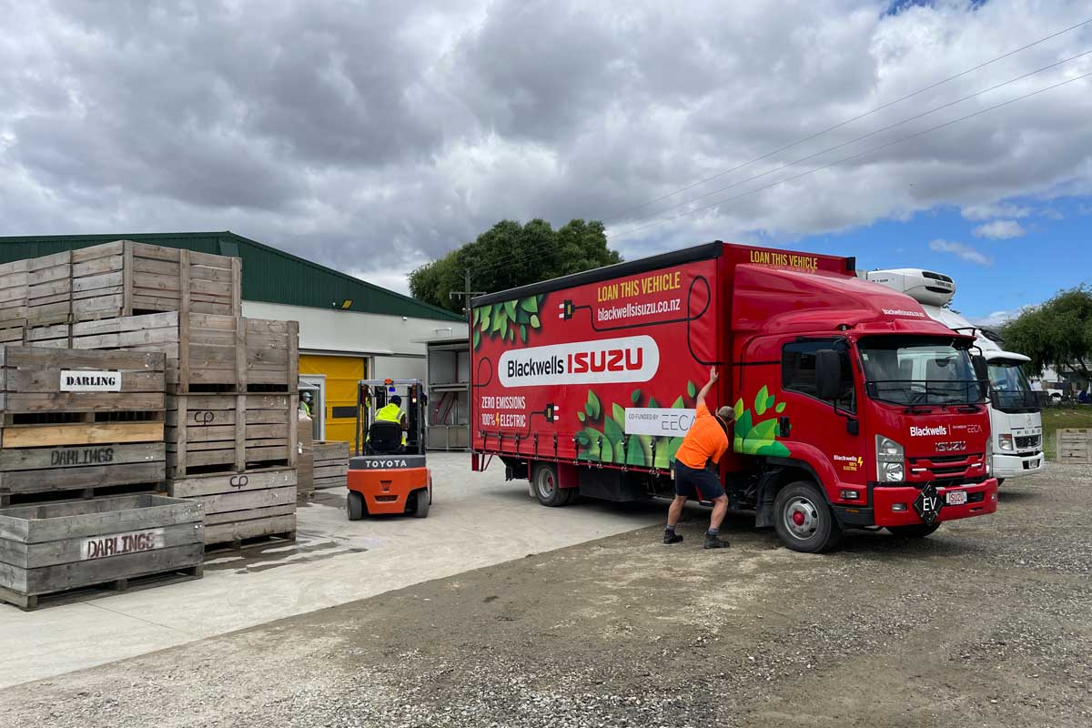 Unloading of the cherries at the local packhouse