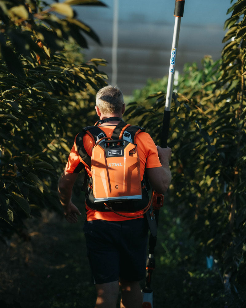 The STIHL AR 2000 L Backpack Battery & HTA 135 Battery Pole Pruner.