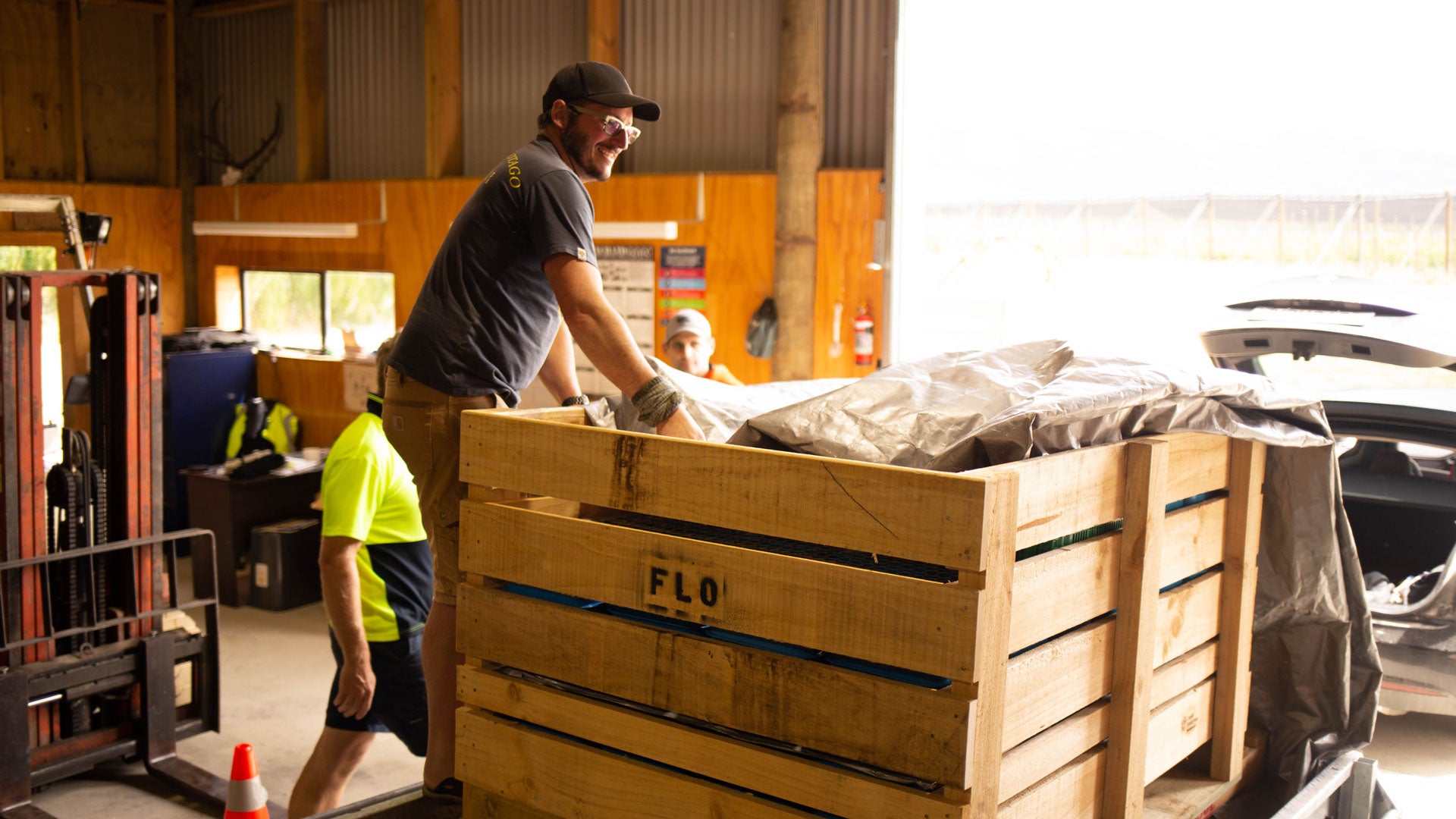 Loading and preparing the trailer with NZ0 cherries for delivery to the pack house.