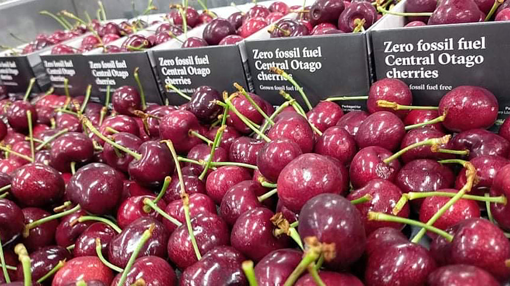 Our recyclable cardboard NZ0 cherry punnets (middle left), compared to the industry standard plastic punnets used across most fresh produce.