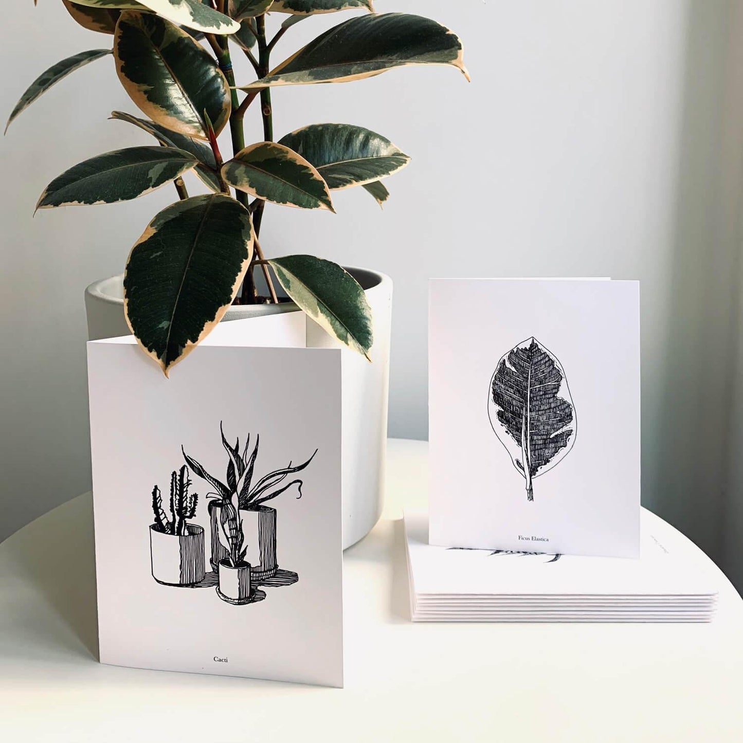 Buy Greeting Cards Online