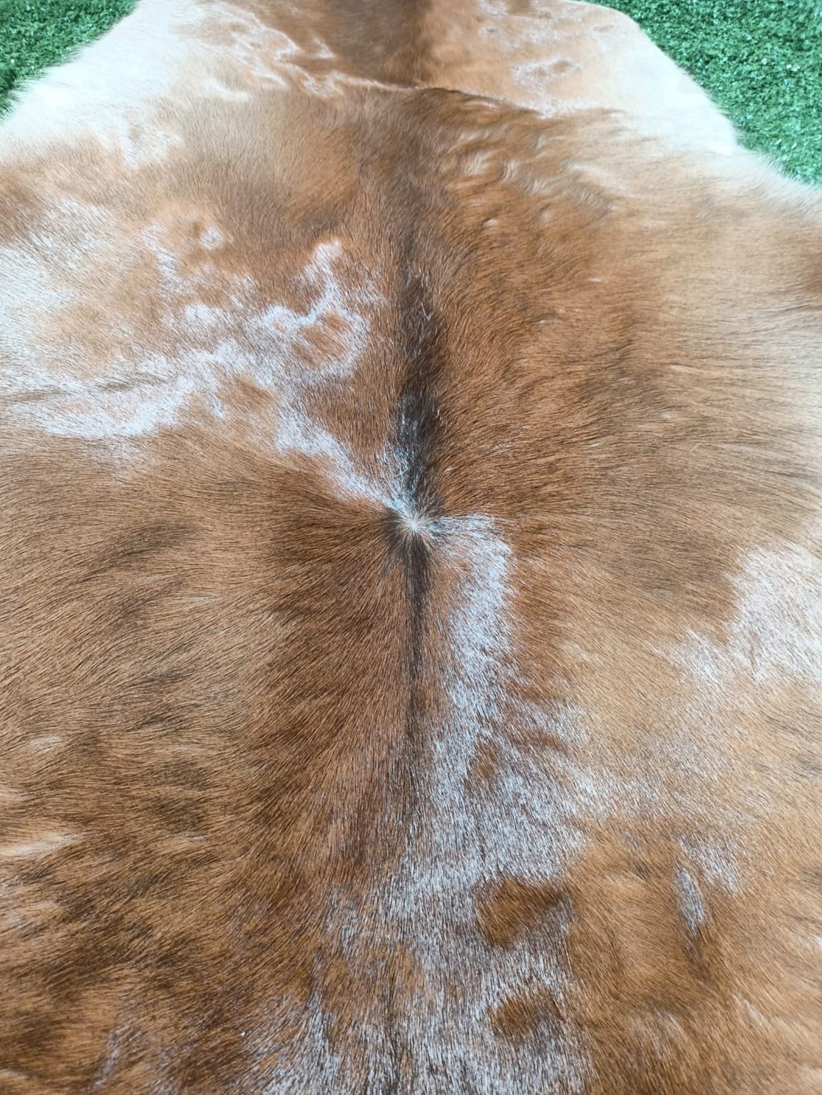 Beautiful Shady Brown Color On White Cowhide Rug - Zosack