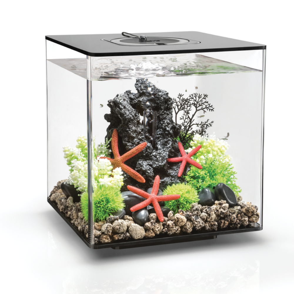 SuperFish Home 8 Aquarien Set inkl. LED, und Filter-Pumpe